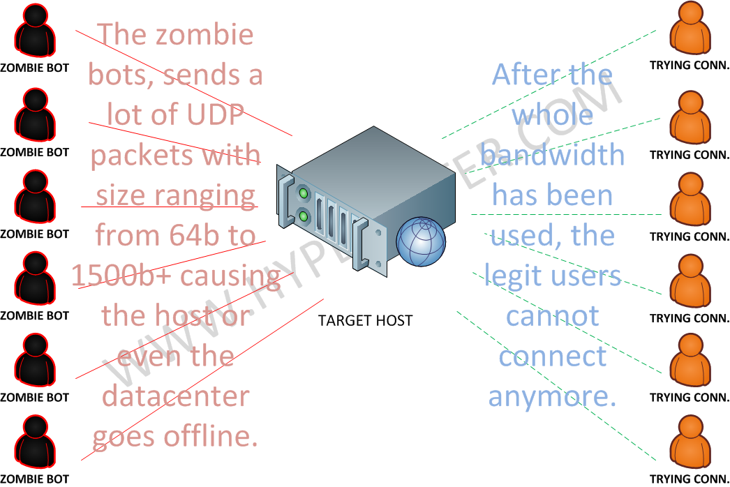 UDP Attack (Flood)