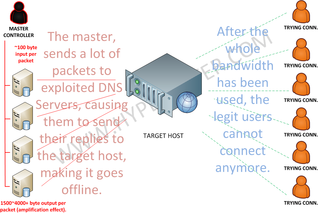 UDP Attack (DNS Amplification)